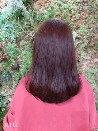 セミロング 支持率No.1💖 オチアイのヘアスタイル