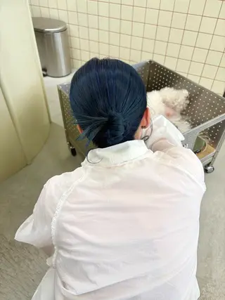 カラー ヘアアレンジ BELLA阿部野 TOMOMIのヘアスタイル