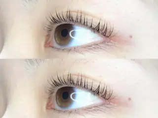 マツエク・マツパ 《eyelash ｉｉｔｅ》森のマツエク・マツパデザイン