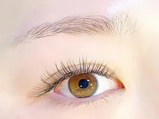 マツエク・マツパ 【ぱっちり職人】 店長 矢吹のマツエク・マツパデザイン