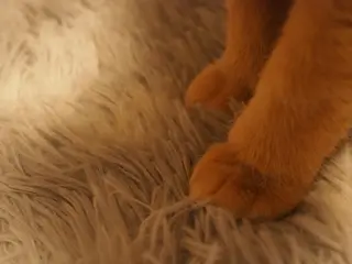 ネイル kiki nail &brow二子玉川の眉毛・アイブロウイメージ