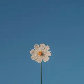 ネイル mowa 🌿‬ kanaのネイルデザイン