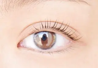 マツエク・マツパ irieアイリー 鈴木紀美の眉毛・アイブロウイメージ