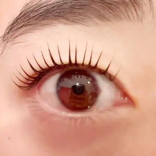 マツエク・マツパ 🧸Celeste Venusのマツエク・マツパデザイン