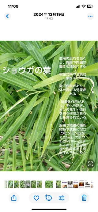 ミディアム grlow グロウのエステ・リラクイメージ