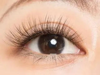 マツエク・マツパ 中野やまとなでしこ AYAの眉毛・アイブロウイメージ