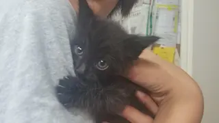 麻里 杏彩のヘアスタイル