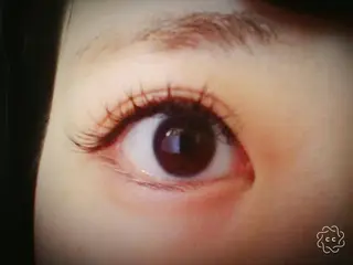 マツエク・マツパ 🌼 momoの眉毛・アイブロウイメージ