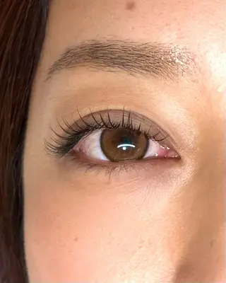 マツエク・マツパ Lushana 眉毛/まつ毛の眉毛・アイブロウイメージ