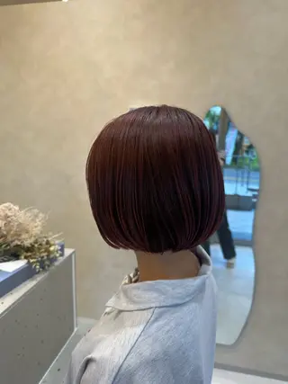 ショート 艶カラー✨ ʜɪʀᴀʀɪのヘアスタイル
