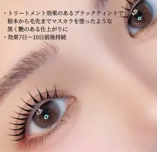 マツエク・マツパ Kllマツエク& まつげパーマ池袋店のマツエク・マツパデザイン