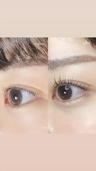 マツエク・マツパ シードリン 府内店 杉田のマツエク・マツパデザイン