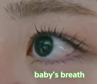 マツエク・マツパ baby's breathのマツエク・マツパデザイン