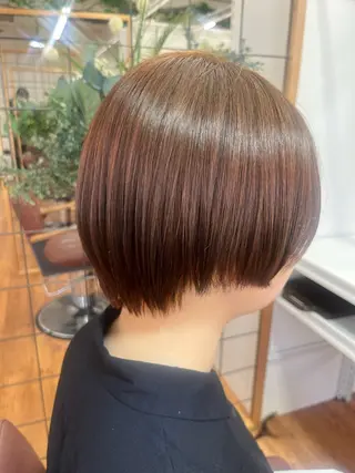 ショート カラー 腰越 麻奈のヘアスタイル