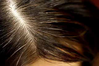 カラー HairGardenRePURE所属・a- akiraのヘアスタイル