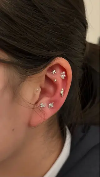 B.napus/mimi2bo所属・B.napus Nanohaのその他イメージ