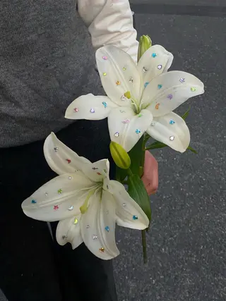 マツエク・マツパ ecarg / cocoroのマツエク・マツパデザイン