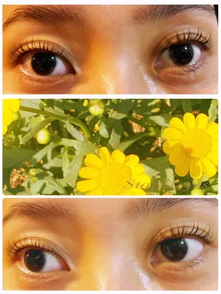 マツエク・マツパ Star eyes所属・Star eyesのマツエク・マツパデザイン