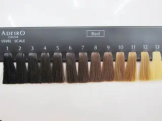 カラー 宝徳 伶奈のヘアスタイル