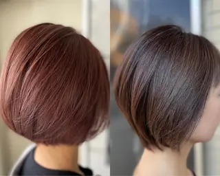 ショート カラー 坂野 結子のヘアスタイル