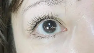 マツエク・マツパ 無料モデル募集中 Ann Mossのマツエク・マツパデザイン