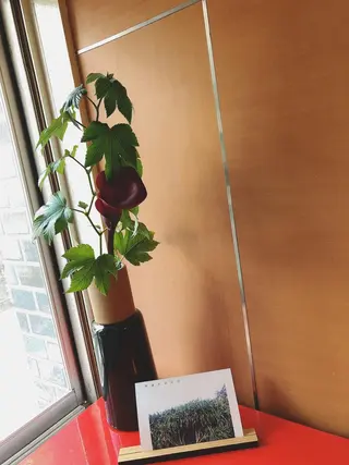 マツエク・マツパ なかむら 🪡のマツエク・マツパデザイン