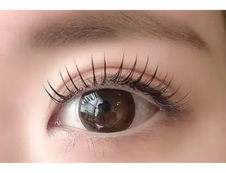 マツエク・マツパ LUCY 心斎橋 / 岸本のマツエク・マツパデザイン