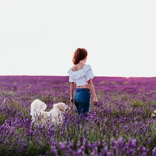 いしだ やこ よもぎ蒸し専門店🌿のエステ・リラクイメージ