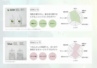 美髪クリエーター テラダタエコのヘアスタイル