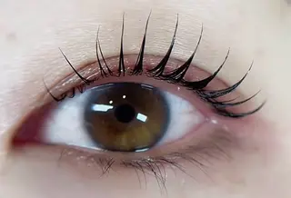 マツエク・マツパ 大人気🌸ran L ED専門店/パリエクのマツエク・マツパデザイン