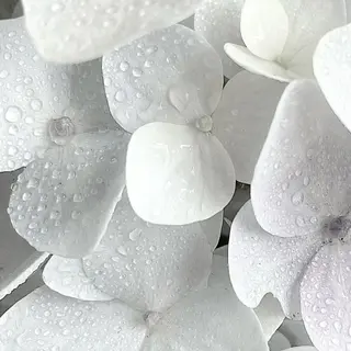 マツエク・マツパ Bianca新宿 🩵ISHIKAWAのマツエク・マツパデザイン