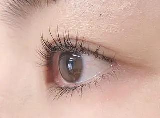マツエク・マツパ まつ毛・眉毛専門店 DAYS青葉台の眉毛・アイブロウイメージ