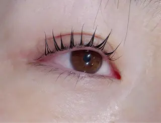 マツエク・マツパ 寒色/デザインカラー 🪽_マヒルのマツエク・マツパデザイン