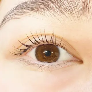 マツエク・マツパ Dahlia beauty新岩聖可のマツエク・マツパデザイン