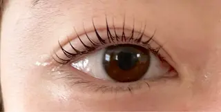 マツエク・マツパ aya 🫧の眉毛・アイブロウイメージ