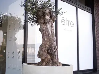 nought etre所属・スタイリスト杉本 泰士朗のヘアスタイル