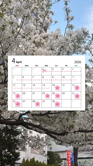 大金 愛果のヘアスタイル