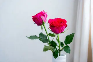 プライベートサロン Vera Luceのエステ・リラクイメージ