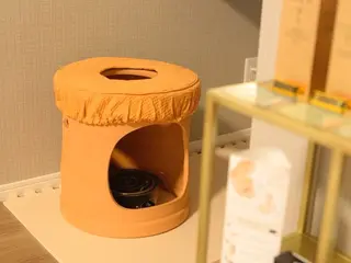 島袋 聡子のエステ・リラクイメージ