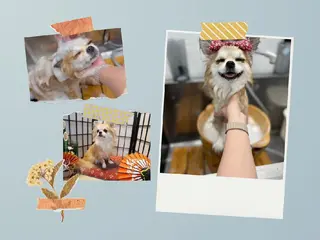 髪屋こころ 峯村 衣舞のヘアスタイル