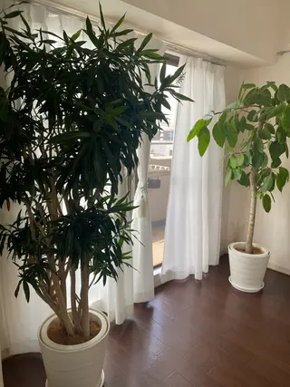 essor エソールのエステ・リラクイメージ