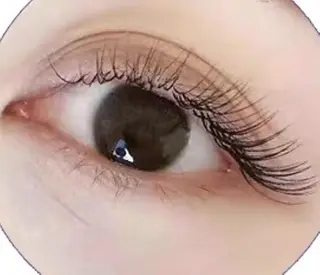 マツエク・マツパ Cute beauty2のマツエク・マツパデザイン