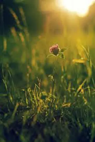 🌼二本柳 🌼のヘアスタイル