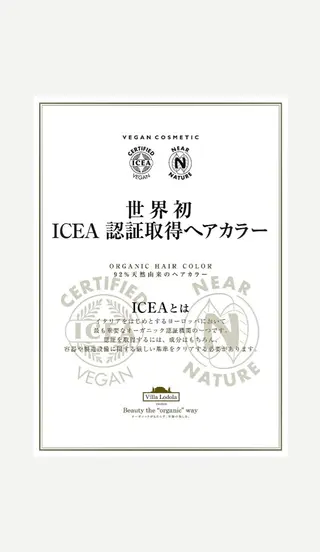 カラー 田代 歩奈のヘアスタイル