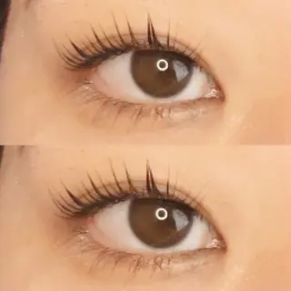 マツエク・マツパ 《eyelash ｉｉｔｅ》森のマツエク・マツパデザイン