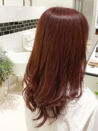 セミロング カラー 予約 停止のヘアスタイル