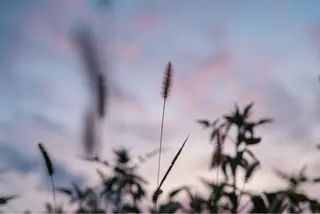 🌼二本柳 🌼のヘアスタイル