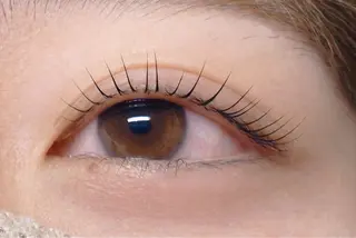 マツエク・マツパ Melia Chieのマツエク・マツパデザイン