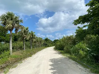 マツエク・マツパ 🌊♡ 京急川崎のマツエク・マツパデザイン