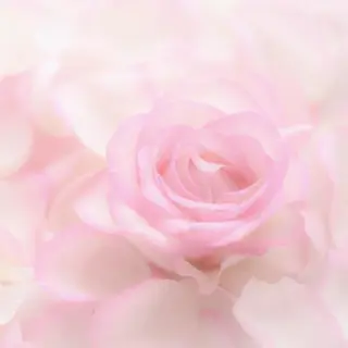 ピ・ブラン REIのエステ・リラクイメージ